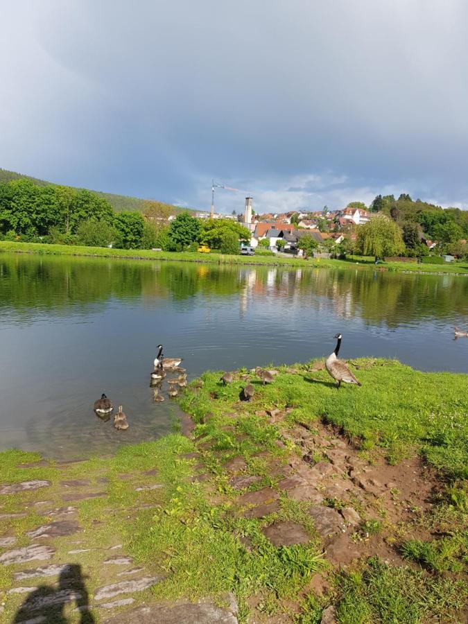 Im Springerhof Lohr am Main