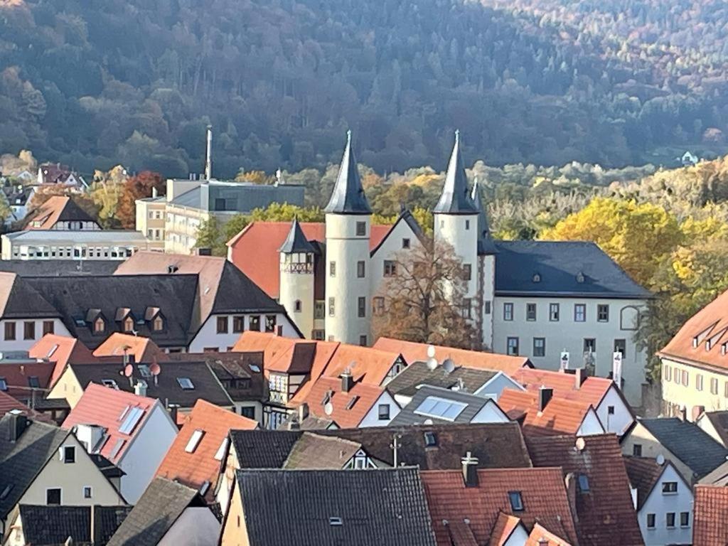Apartment Im Springerhof Lohr am Main